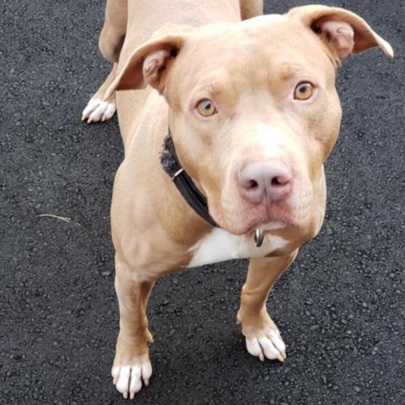 Meet the Posher Other - Meet your Posher, Jake